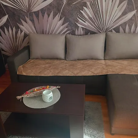 Libero 78 아파트 베오그라드